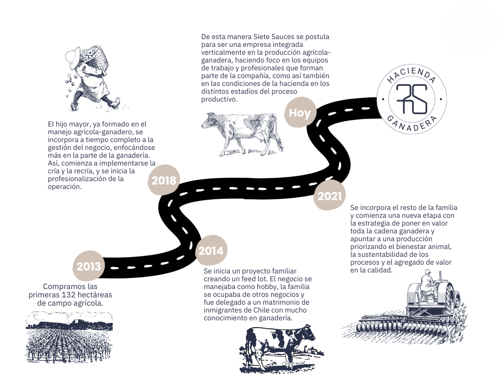 Historia de Siete Sauses